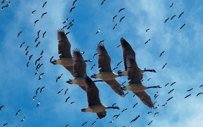 10846dc6c9270baf79e758a81a33730e_large